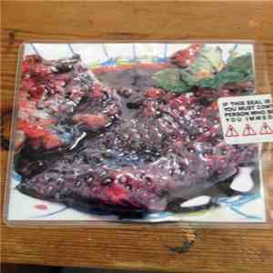 Animal Collective - Strawberry Jam album