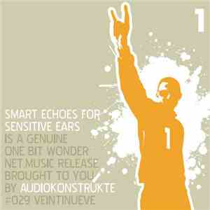 Audiokonstrukte - Smart Echoes For Sensitive Ears album
