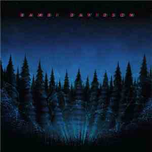 Bambi Davidson - Brunswick album