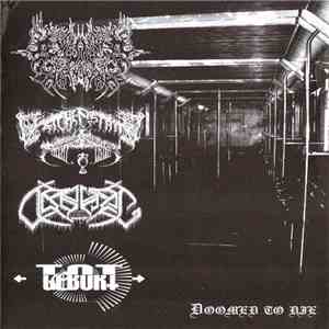 Beyond The Ninth Wave / Leichenstätte / Obehag / Totgeburt  - Doomed To Die album
