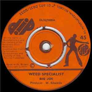 Big Joe / Cherry & The Dubmaster - Weed Specialist / Dub A Daughter album