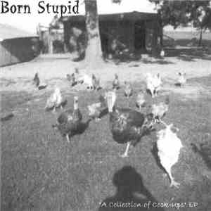 Born Stupid - A Collection Of Cock-Ups EP album