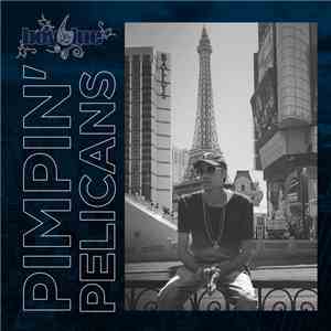 Boy6lue - Pimpin' Pelicans album