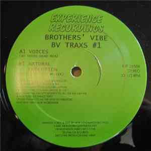 Brothers' Vibe - BV Traxs #1 album