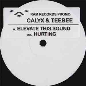 Calyx & Teebee - Elevate This Sound / Hurting album