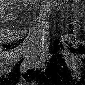 Curmudgeon - Human Ouroboros album