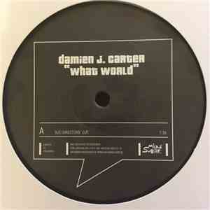 Damien J. Carter - What World album