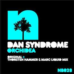 Dan Syndrome - Orchidea album