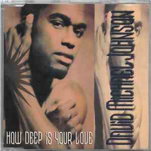David Michael Johnson - How Deep Is Your Love album