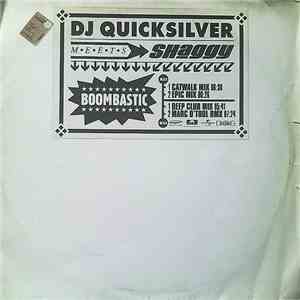 DJ Quicksilver Meets Shaggy - Boombastic album