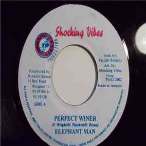 Elephant Man - Perfect Winer album