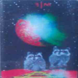 Flower Man - Punctuated Continuum Amusement Symposium album