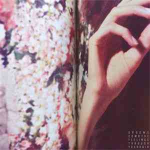 Grooms - Comb The Feelings Through Your Hair album