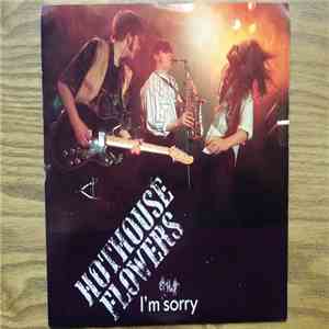 Hothouse Flowers - I'm Sorry album