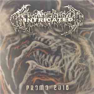 Intricated  - Promo 2016 album