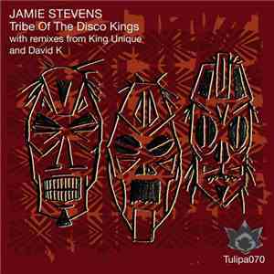 Jamie Stevens - Tribe Of The Disco Kings album