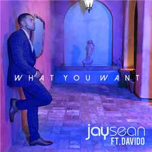 Jay Sean Ft. Davido - What You Want album