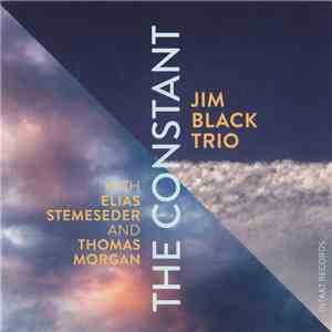 Jim Black Trio - The Constant album