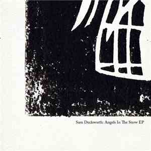 Sam Duckworth - Angels In The Snow album