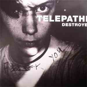 Telepathe - Destroyer album