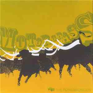 The Ford Broncos - Motorgrass album