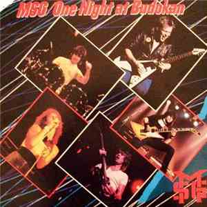 The Michael Schenker Group - One Night At Budokan album