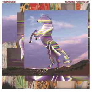 Tigers Mind - Paradiso Pudding Mix album