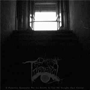Tormental - Il Perpetuo Sconcerto Per La Realtà In Cui Mi Sveglio Ogni Giorno album