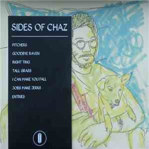 Toro Y Moi - Sides of Chaz album