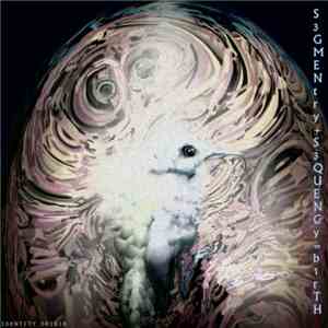 U-F SEQUENCER - S3GMENtry+S3QUENCy=b1rTH album