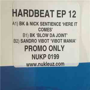 Various - Hard Beat EP 12 album