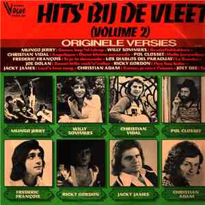 Various - Hits Bij de Vleet Volume 2 album