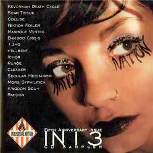 Various - IN 13 - Fifth Anniversary Issue album