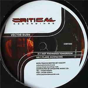Vector Burn - Not Promised Tomorrow / Flame Surfacing album