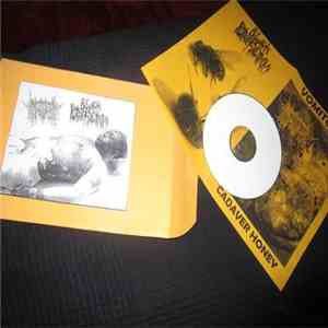 Vomitoma, Black Putrefaction - Cadaver Honey / Untitled album