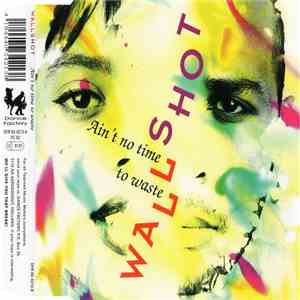 Wallshot - Ain't No Time To Waste album