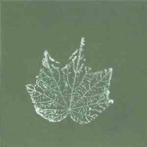 White Light  - For Your Leaves album