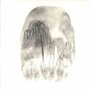 Woodpigeon - Trouble album