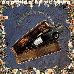 World Party - Message In The Box album