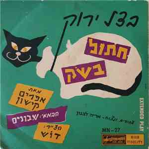 בצל ירוק - חתול בשק album