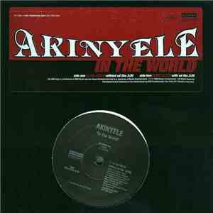 Akinyele - In The World album