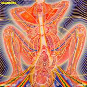 Albertropolis and Subhuman Meat Robot - !ORGASMABIRTH album