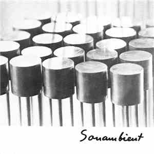 Bertoia - Space Voyage / Echoes Of Other Times album
