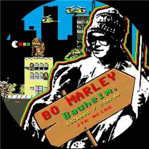 Bo Marley / Disrupt  - Bauhelm / Bauhelm Dub album