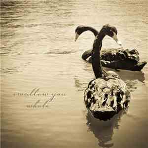 Brendan Benson - Swallow You Whole album