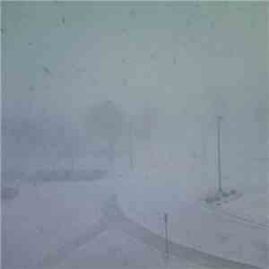 Cam Horvath Turbo Tax, Drive Me Home Please - Split album