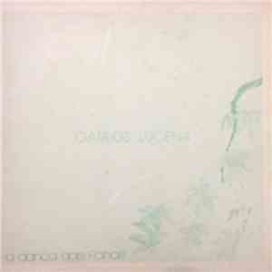 Carlos Lucena  - A Dança Das Folhas album