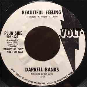 Darrell Banks - Beautiful Feeling / No One Blinder album
