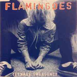 Flamingoes - Teenage Emergency album