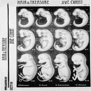 Hair & Treasure - Jive Cunny album